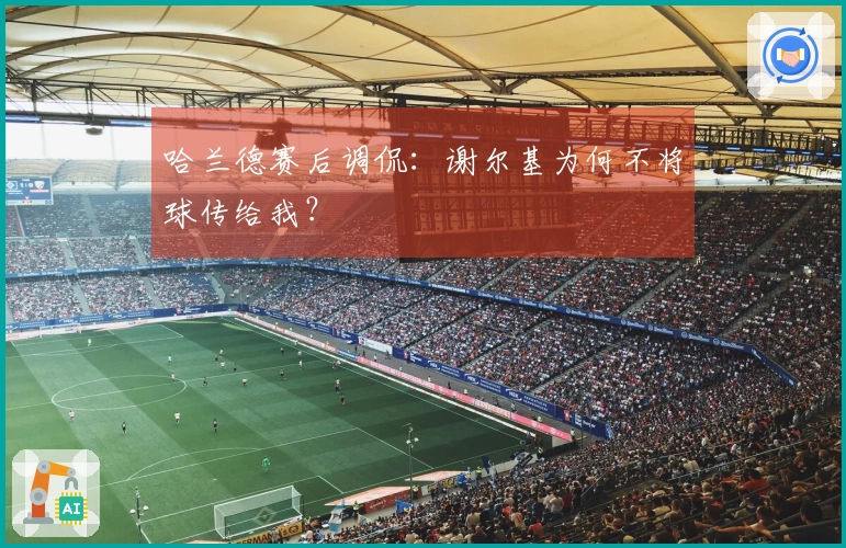 哈兰德赛后调侃：谢尔基为何不将球传给我？