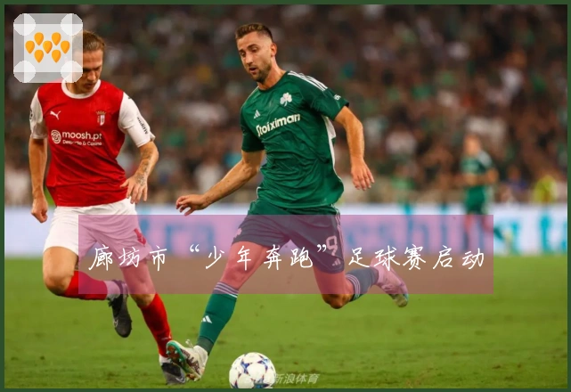 廊坊市“少年奔跑”足球赛启动