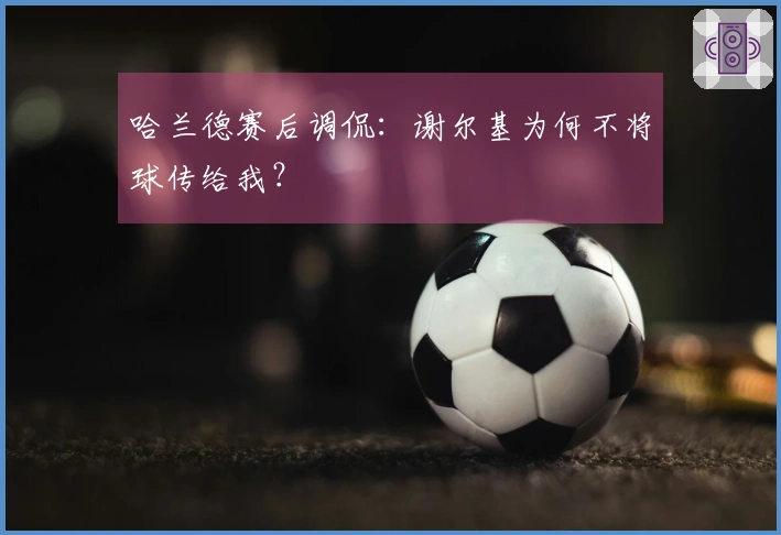 哈兰德赛后调侃：谢尔基为何不将球传给我？