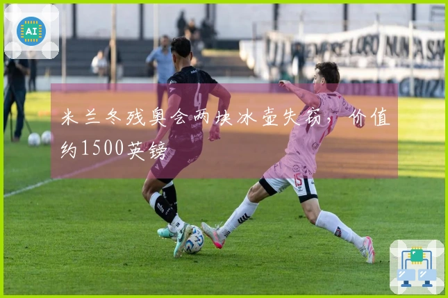 米兰冬残奥会两块冰壶失窃，价值约1500英镑