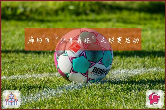 廊坊市“少年奔跑”足球赛启动